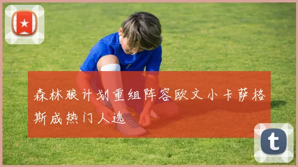 森林狼计划重组阵容欧文小卡萨格斯成热门人选