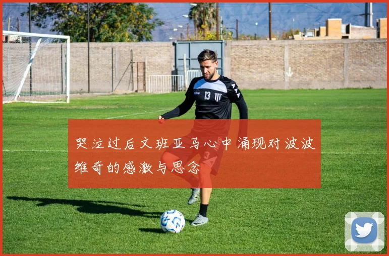 哭泣过后文班亚马心中涌现对波波维奇的感激与思念